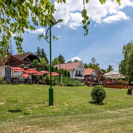 Borostyan To Vendeghaz